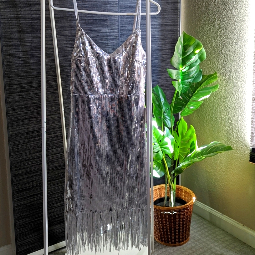 Silver sparkle sequin "Glitter in the Air" fringe dress (Lulu's)
